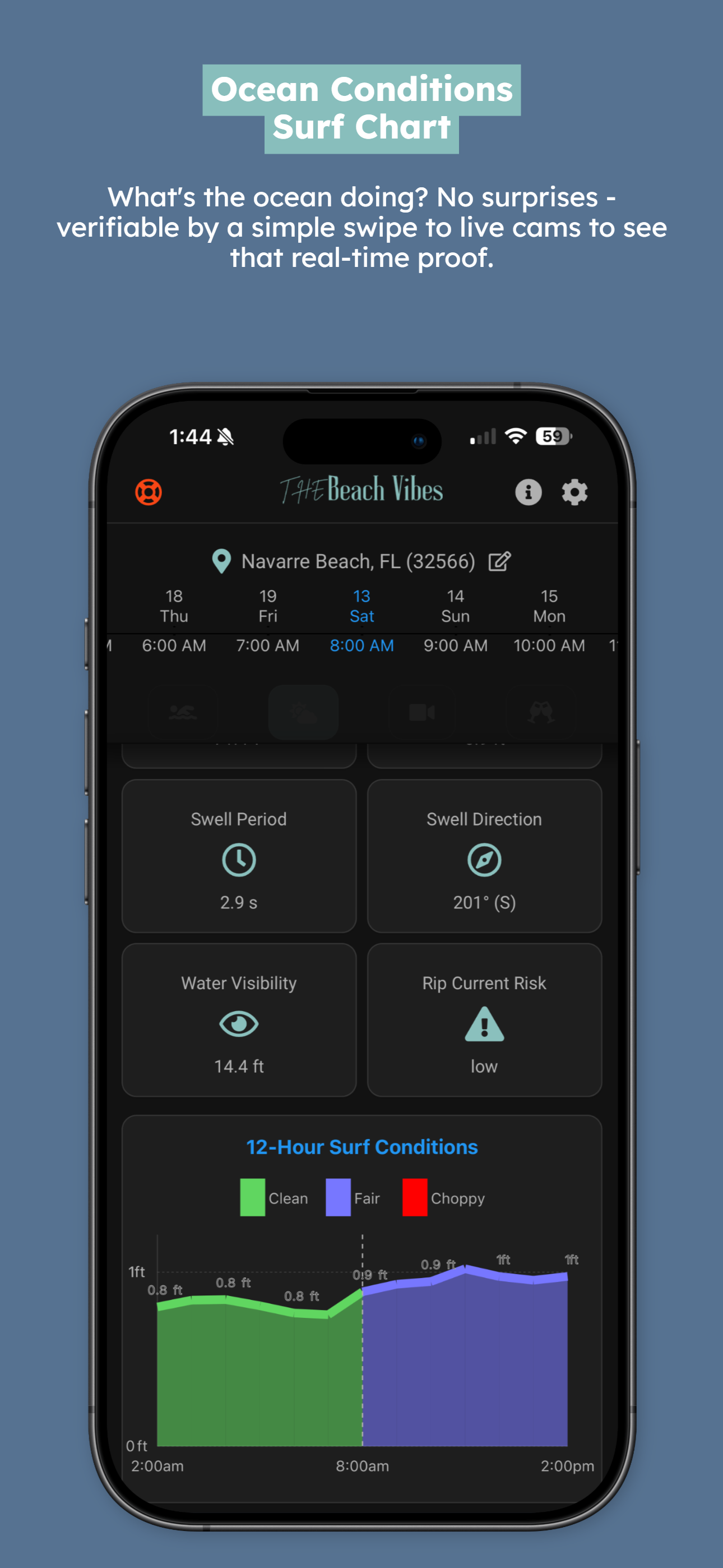 App Screenshot 3: Surf and Tide Chart